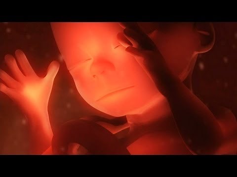 16x9 - Threatened Fertility - Part 4 - Birth Anomalies