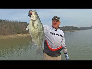 FOX Sports Outdoors SouthWEST #22 - 2018 Norfork Arkansas Hybrid Striper Fishing