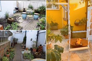 Woman transforms drab garden into mediterranean wonderland with splash of yellow