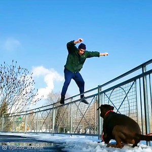 93K views · 486 reactions | Acrobat in Lockdown | BuzzFeed Video | Facebook