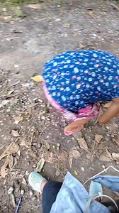 Logo( sea almond tree) Part 4 | Kamarites