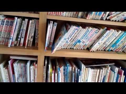 Exploring a Japanese School: The Library