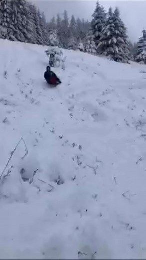 Such a fond memory! | Hailey Dawn Dory