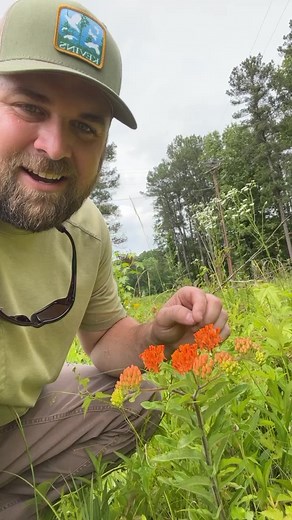 Trails and signage are next up on the agenda for this prairie! Stay tuned for some volunteer days removing invasives! #nativehabitatproject #flintcreekprairie #conservation #grasslands #publicland #prairie #alabama #northalabama | Native Habitat Project