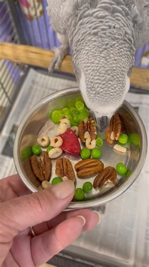 Devon is the “pea princess” | Wild Heart Ranch