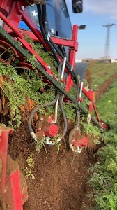 36K views · 211 reactions | Great jobs | All Machine Technologies | Facebook