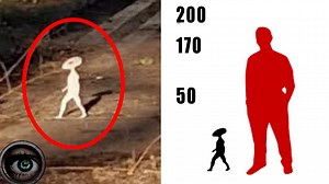 Some do not believe in them, others claim that they exist. In this video I intend to bring you evidence that show these things not only exist, but also walk among us. | The Darkest Secret