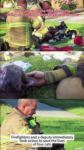 😱🇺🇸💯Dog Rescued by Firefighters from a House Fire#firefighter #viral #rescue #fire #usa
