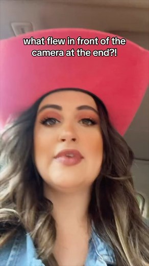 #countrymusic #cats | Megan Barker