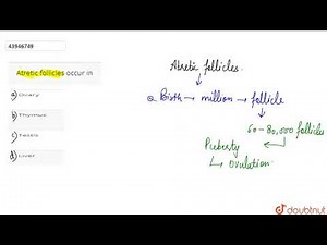 Atretic follicles occur in