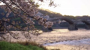 Spring Japan Establishing Shot Iwakuni Kintai Stock Footage Video (100% Royalty-free) 3482523309 | Shutterstock