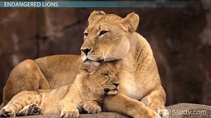 You must c C reate an account to continue watching