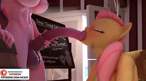 AMAZING FUTANARI FURRY BLOWGOB ANIMATION - MY LITTLE PONY FLUTTERSHY X TWILIGHT