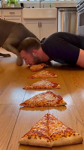 My Cane Corso Ate 11 Pizza Slices Before I Could Blink 😳🍕 I thought I had a chance… I was VERY wrong 😳 This is a no-hands pizza eating race between me and my Cane Corso — filmed floor-level in one take, pure chaos. Molten cheese, flying crumbs, and a dog with zero mercy 🐶🍕 Watch till the end for the insane close-up. 👉 Follow SnackSprint Pets for daily dog vs human food races, funny fails, and viral pet chaos. #dog vs human #challenge | SnackSprint Pets