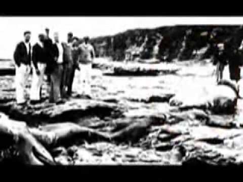 HIDDEN HISTORY of the Dinosaurs