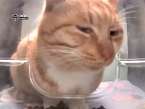 Nyc đăng ảnh chụp chung với nym xong để bài nhạc này | 𝙀𝙧𝙧𝙤𝙧