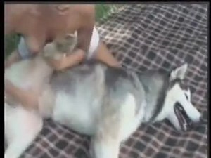 A Dog fucks a girl in a garden