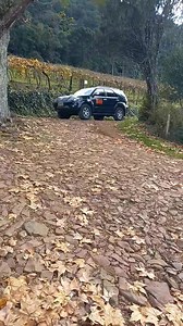 Rádio Oléé Digital on Reels