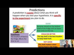 Hypothesis and Prediction