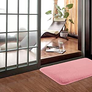 Blush Rugs for Girls Durable Comfy Rugs Fuzzy Shag Rugs Super Soft Plush Shaggy Bugs Extra Thick Mats Shaggy Microfiber Rugs for Bedroom Living Room Fluffy Rugs (16 x 24 Inch )