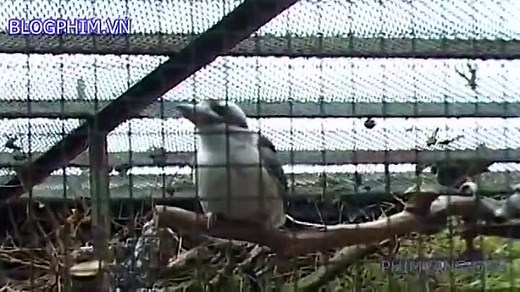 All.About.Anna.2005.SD