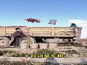 Masters Of Their Craft  (VIDEO)