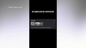 Woman left humbled by door cam’s hilarious ‘chicken’ notification