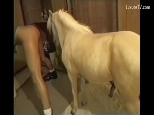 Slut Fucks Multiple Horses
