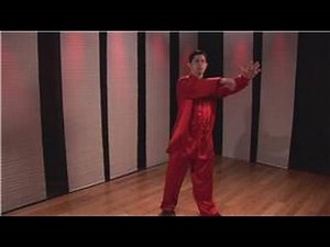 Kung Fu : Palm Block, Hook Punch, Sitting Stance & Double Arm Smash Combo