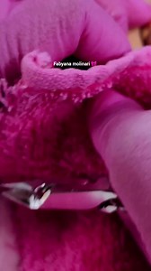 Passo-a-passo de cutilagem e esmaltação fáceis e maravilhosas 🖤🥰 | Unhas decoradas com passo a passo