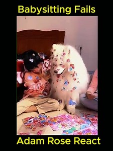 Babysitting Fails Best of Adam Rose React Compilation | Ljepote Zavičajne I Na Selu