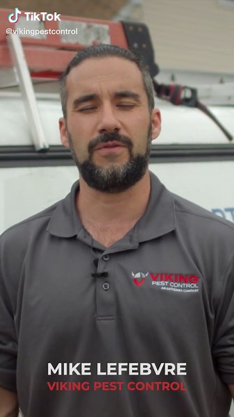 Viking Pest - Buy Pest Control on TikTok