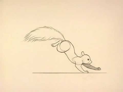 Squirrel animation.mov