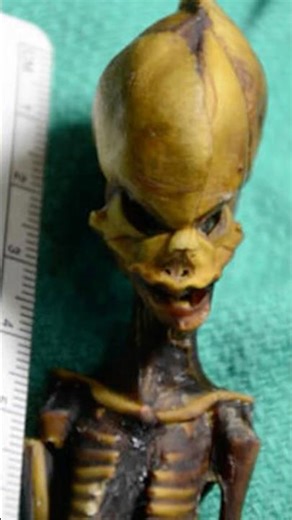 The ‘Alien’ Mummy Discovered in the Atacama Desert