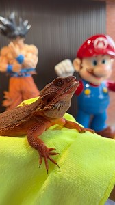 Sosyal na dragon | Alfred WaterMax