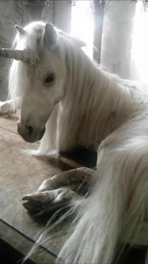 #fyp #dreamy #unicorn | unicorn