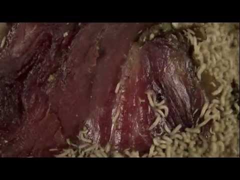 time lapse maggots eating meat HD