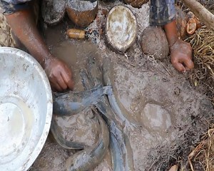 86K views · 948 reactions | Life Hacks Fishing Method With Coconuts Oil and Chicken Eggs Catch Fishes From Hole #DIYExperiment #LifeHacksFishing | Amazing Life Hacks | Facebook
