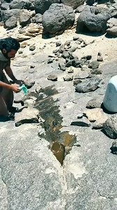 What would life in the desert be like | 𝐵𝑎𝑐𝑘𝑠𝑝𝑎𝑐𝑒-𝑏𝑑