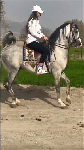 20 июня 2025 г.