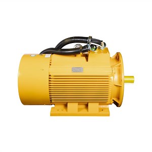 [Hot Item] Typ Series Three-Phase Permanent Magnet AC Synchronous Electric Motor 220kw