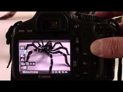 Filming using the the Canon EOS 550d/EOS Rebel T2i / EOS Kiss X4 DSLR - Steve Pidd