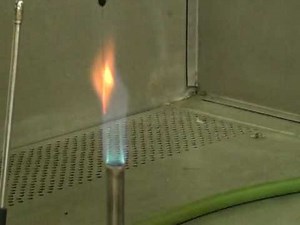 Sterilization of inoculating wire by flaming