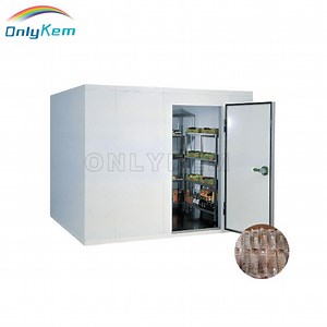 [Hot Item] Sala de almacenamiento en frío, cámara fría, refrigerador para verduras y frutas