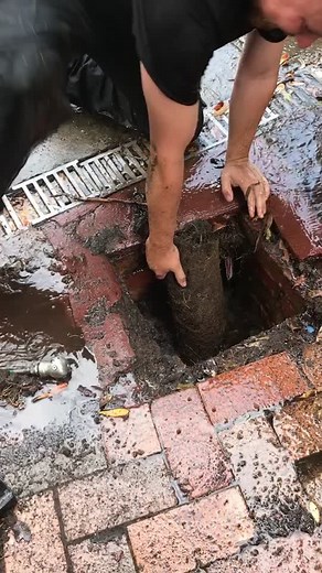 #fyp #blockeddrains #drainpro #blockeddrain #satisfying #fypシ #keepwatching