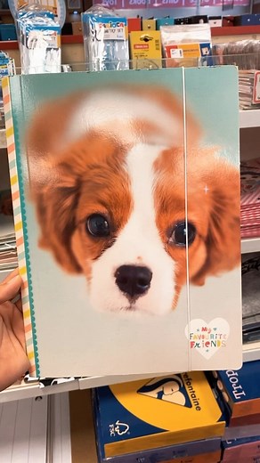 Keep all your documents organize with this beautiful file folders ✨ Visit our store for more‼️拾 #mensings #curacao #bookstore #organization | Mensing's Caminada | Facebook