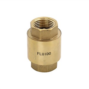 [Hot Item] One Way Non Return Water Brass Valve Check Valve 1/2''-4''