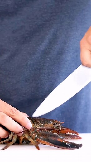 Wow so skillful cooking Lobster #homemadecooking #cookingchef #instacooking #foodblogger #ilovecooking #foodporn #foodie #outdoorcooking #healthyfood #cookinggram #cookinglesson #cookingtime #food #cookingislife #lovevooking #fastfood #cookingvideo #mumscooking | Log Home Tips