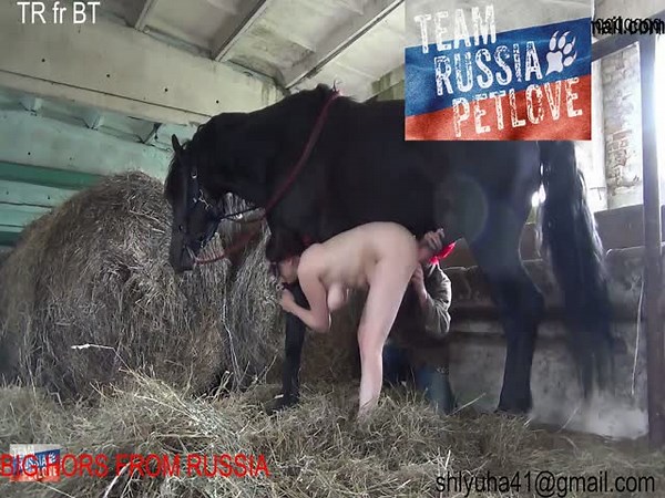 dog sex