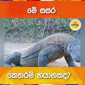 37K views · 216 reactions | Nethra on Reels | Facebook